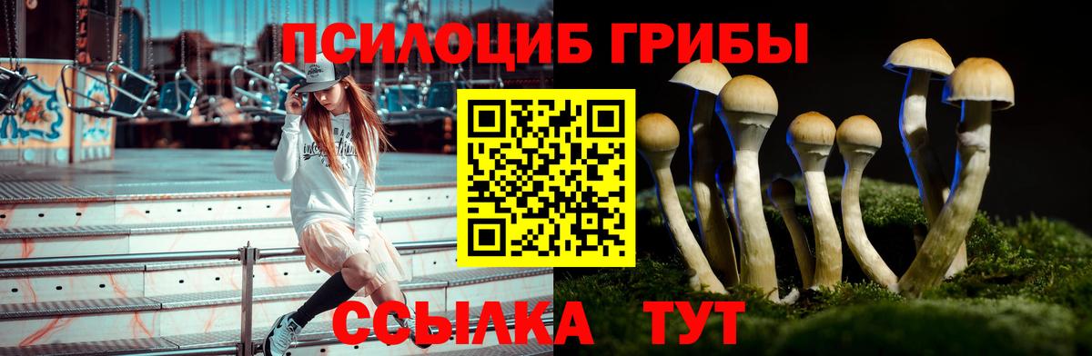 Галлюциногенные грибы Magic Shrooms Снежинск